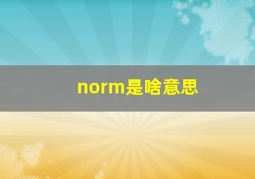 norm是啥意思