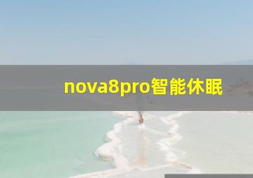 nova8pro智能休眠