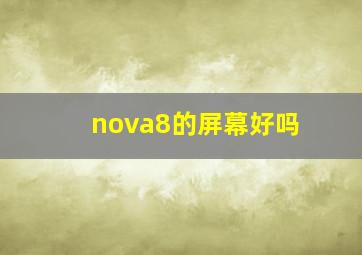 nova8的屏幕好吗