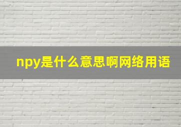 npy是什么意思啊网络用语