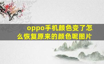 oppo手机颜色变了怎么恢复原来的颜色呢图片