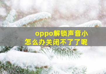 oppo解锁声音小怎么办关闭不了了呢