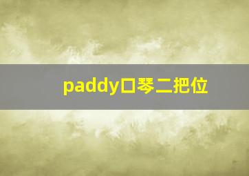 paddy口琴二把位