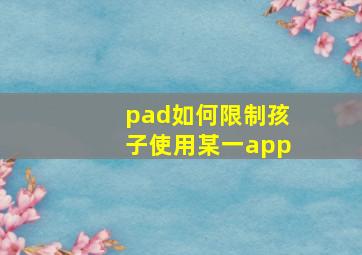 pad如何限制孩子使用某一app