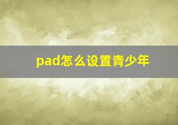 pad怎么设置青少年