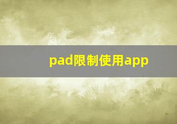 pad限制使用app