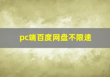 pc端百度网盘不限速