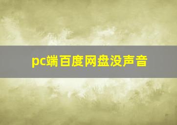 pc端百度网盘没声音