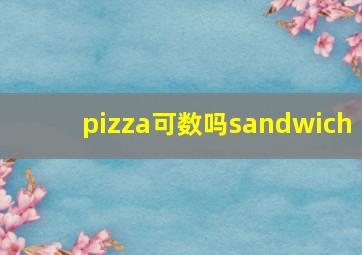 pizza可数吗sandwich