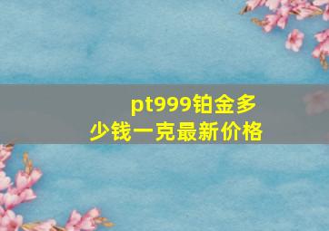 pt999铂金多少钱一克最新价格