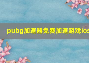 pubg加速器免费加速游戏ios