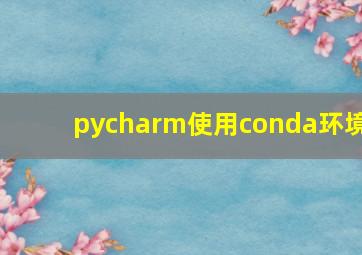 pycharm使用conda环境