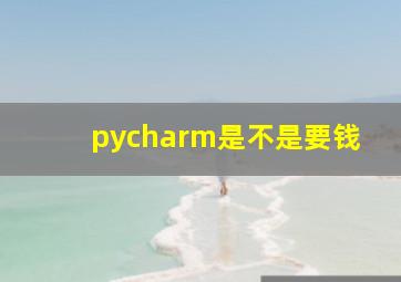 pycharm是不是要钱