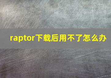 raptor下载后用不了怎么办