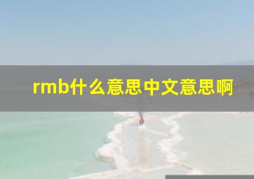 rmb什么意思中文意思啊