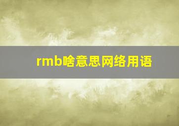 rmb啥意思网络用语