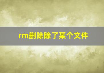 rm删除除了某个文件