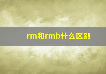 rm和rmb什么区别