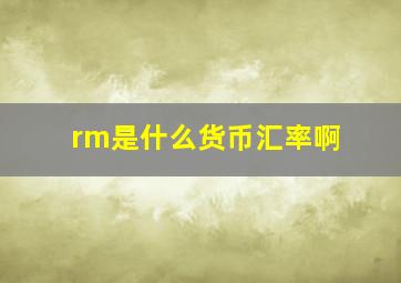 rm是什么货币汇率啊