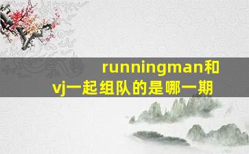 runningman和vj一起组队的是哪一期