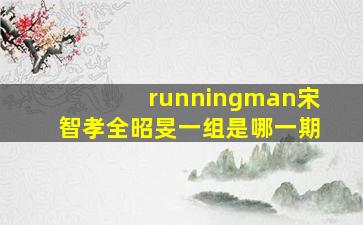 runningman宋智孝全昭旻一组是哪一期