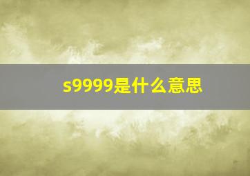 s9999是什么意思