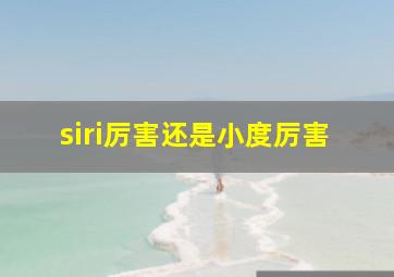 siri厉害还是小度厉害