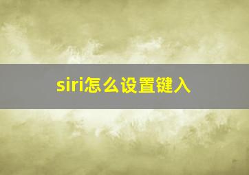 siri怎么设置键入