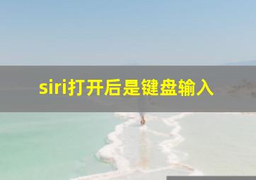 siri打开后是键盘输入