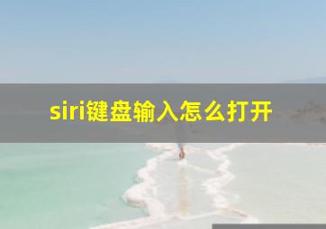 siri键盘输入怎么打开