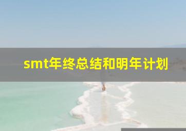 smt年终总结和明年计划