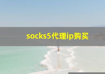 socks5代理ip购买