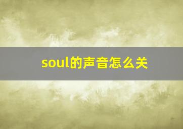 soul的声音怎么关