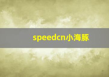 speedcn小海豚