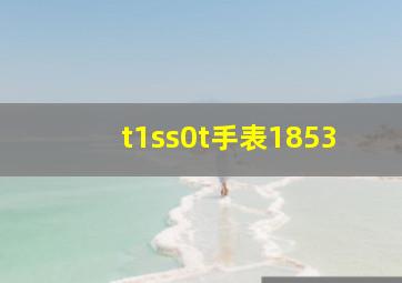 t1ss0t手表1853