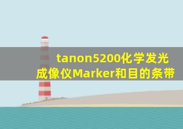 tanon5200化学发光成像仪Marker和目的条带