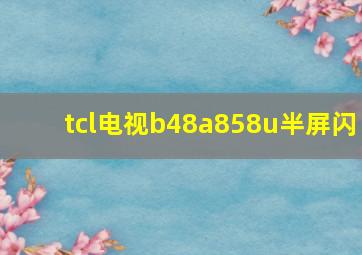 tcl电视b48a858u半屏闪