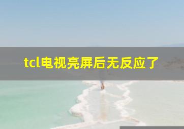 tcl电视亮屏后无反应了