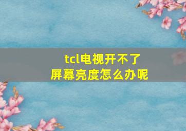 tcl电视开不了屏幕亮度怎么办呢