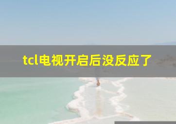 tcl电视开启后没反应了