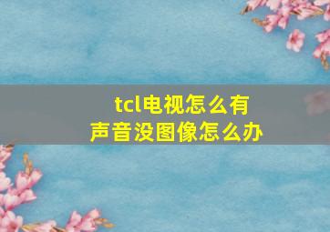 tcl电视怎么有声音没图像怎么办