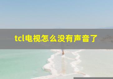 tcl电视怎么没有声音了