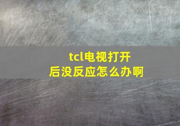 tcl电视打开后没反应怎么办啊