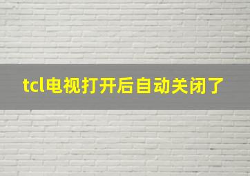 tcl电视打开后自动关闭了