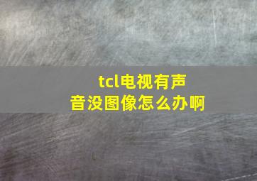 tcl电视有声音没图像怎么办啊