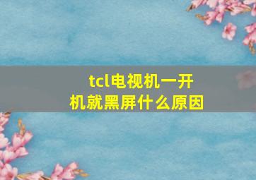 tcl电视机一开机就黑屏什么原因