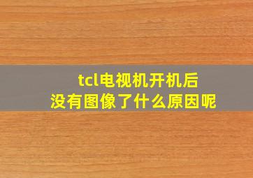 tcl电视机开机后没有图像了什么原因呢