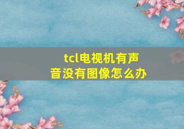 tcl电视机有声音没有图像怎么办