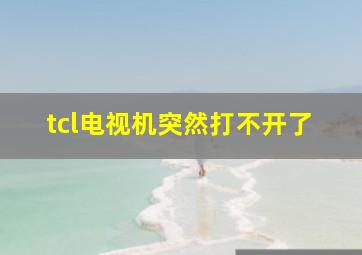 tcl电视机突然打不开了