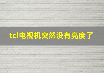 tcl电视机突然没有亮度了